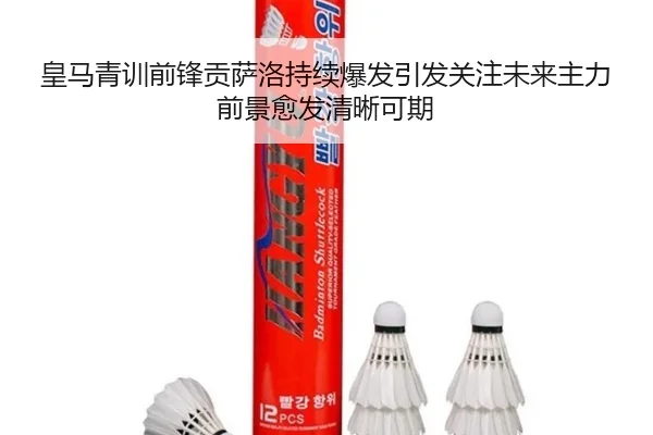 皇马青训前锋贡萨洛持续爆发引发关注未来主力前景愈发清晰可期